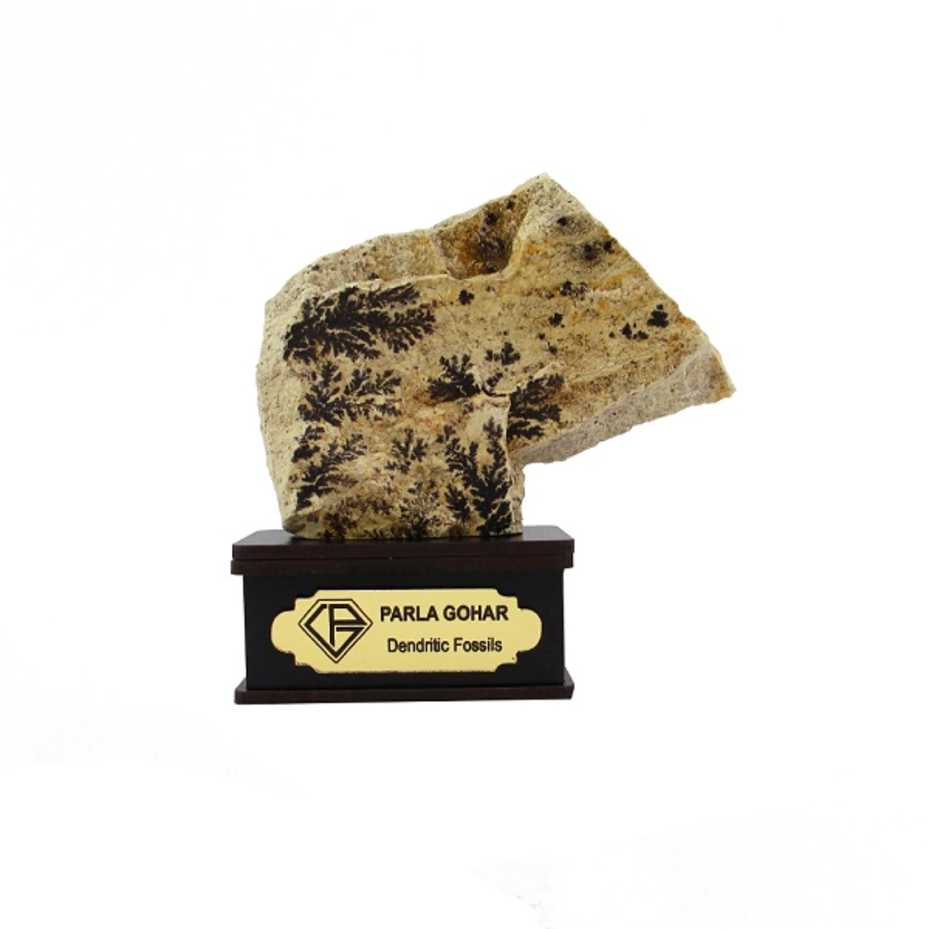 شجر راف کد 2357